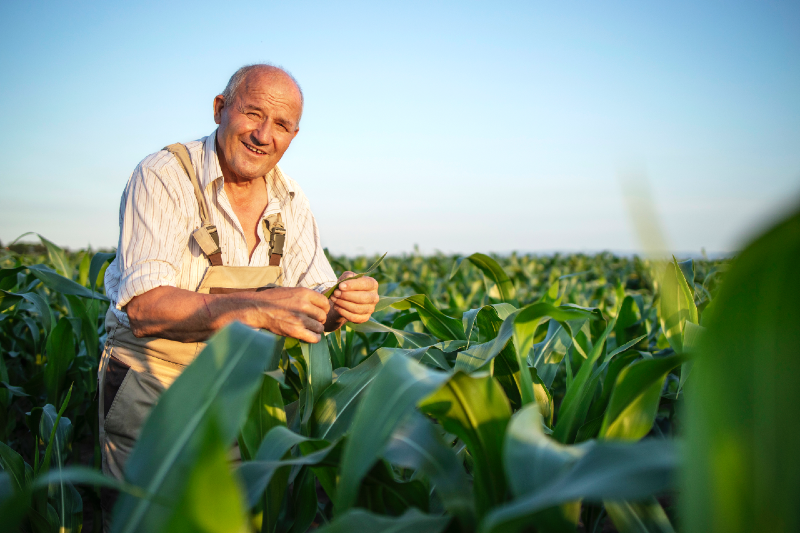 imagen de agriculturo