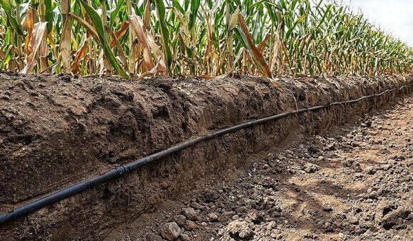 Riego Subterráneo