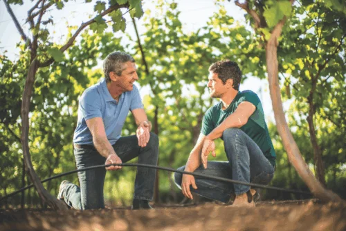 Comparativa sistemas de riego