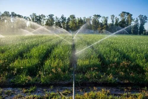 automatización del riego