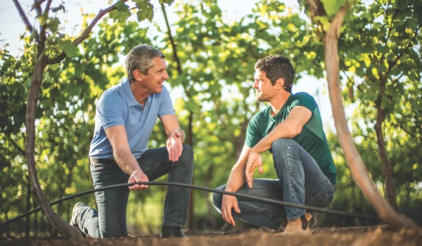 Comparativa sistemas de riego