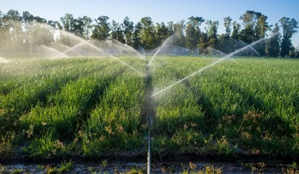 automatización del riego